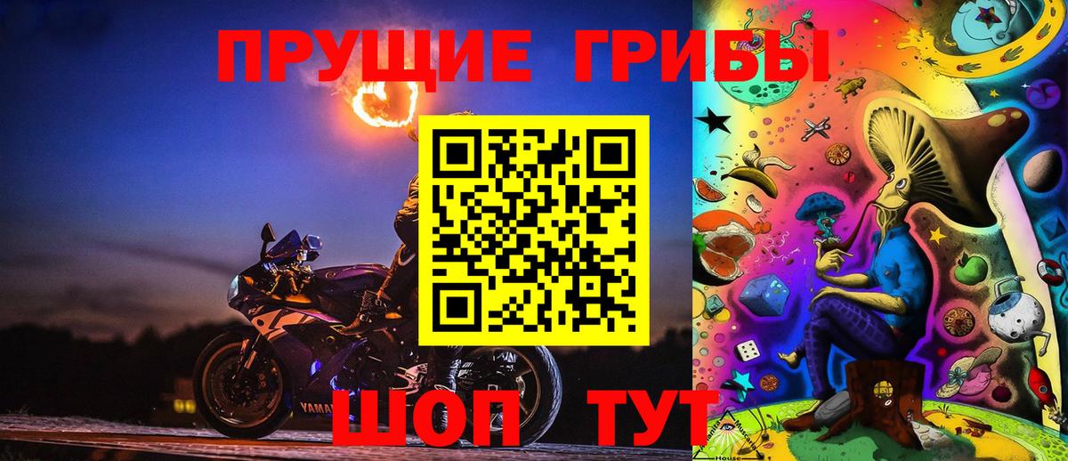 сколько стоит  Псилоцибиновые грибы Psilocybine cubensis  Мыски  Вход с VPN  Псилоцибиновые грибы Psilocybe 